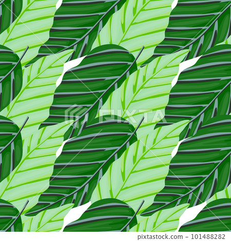 Decorative tropical palm leaves seamless pattern. Jungle leaf wallpaper. Exotic botanical texture. Decorative tropical palm leaves seamless pattern. Jungle leaf wallpaper. Exotic botanical texture. 101488282