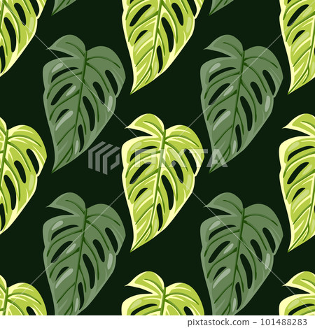 Jungle leaf seamless pattern. Exotic botanical texture. Floral background. Decorative tropical palm leaves wallpaper. 101488283