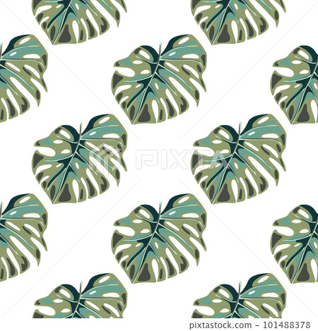 Monstera leaves seamless pattern. Exotic jungle plants endless wallpaper. Leaf background. Hawaiian rainforest floral backdrop. 101488378