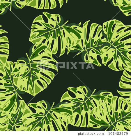 Monstera leaves seamless pattern. Exotic jungle plants endless wallpaper. Leaf background. Hawaiian rainforest floral backdrop. 101488379