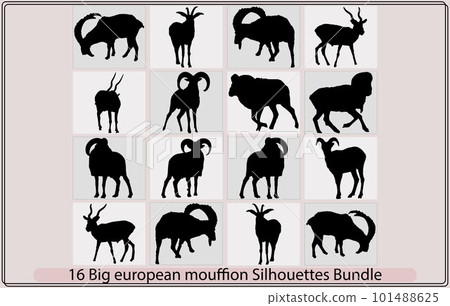 Big european moufflon silhouette bundle,Big european moufflon illustration,Big european moufflon vector, Big european moufflon silhouette bundle,Big european moufflon illustration,Big european moufflon vector, 101488625