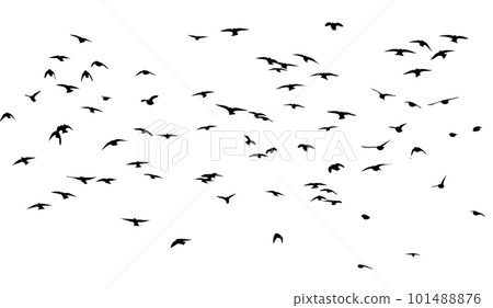 A flock of flying birds. Free birds. Vector illustration A flock of flying birds. Free birds. Vector illustration 101488876