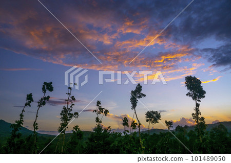 View of landscape nature and mountain with sunlight and sunset or sunrise in morning light, 101489050