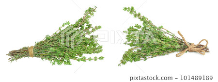 fresh thyme isolated on a white background with full depth of field, Top view. Flat lay 101489189
