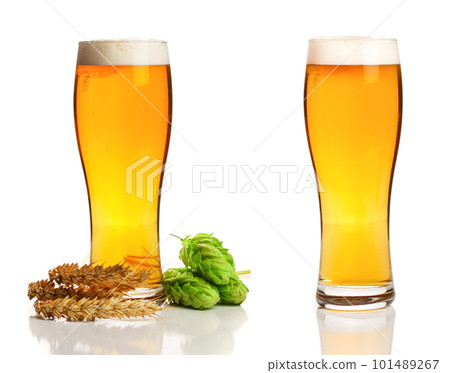 glass of foamy beer with hop cones and wheat isolated on white background glass of foamy beer with hop cones and wheat isolated on white background 101489267