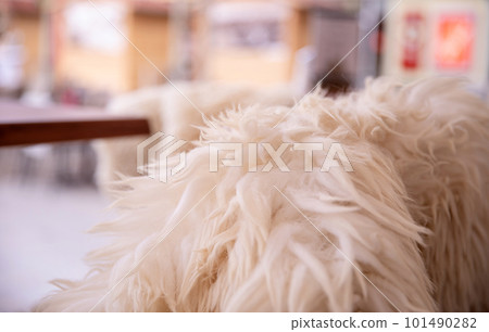 Fur plaid on the veranda of a cafe, an urban concept Fur plaid on the veranda of a cafe, an urban concept 101490282