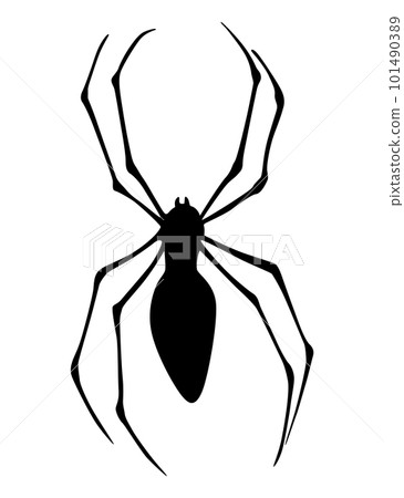 Spider silhouette. Black close-up insect, scary big spider isolated on white. Poisonous dangerous animal. Creepy wildlife bug 101490389