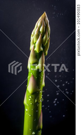 Asparagus seamless background with water drops, top view, flat lay. Generative AI 101490883