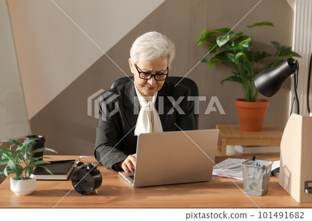 Confident stylish european middle aged senior woman using laptop at workplace. Stylish older mature 60s gray haired lady businesswoman sitting at office table. Boss leader teacher professional worker 101491682