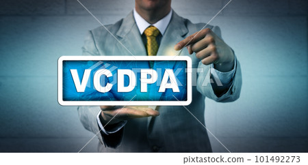 Unrecognisable Law Expert Pointing At VCDPA 101492273