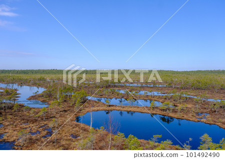 Kemeru swamp, national park with blue lake and trees, and bushes in Latvia with wooden pathway between water, Europe 101492490