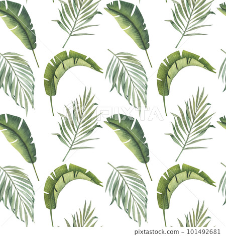 Watercolor seamless pattern with palm and banana leaves, isolated without background. Tropical hand drawn clipart. Watercolor illustration for printing on postcards, covers, fabrics, packaging 101492681