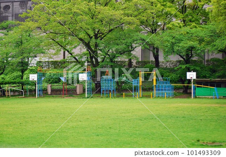elementary school playground 101493309
