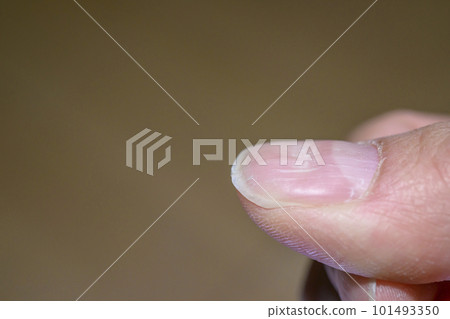 瓦楞釘（搓板釘） 101493350