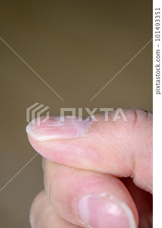 Corrugated nail (washboard nail) Corrugated nail (washboard nail) 101493351