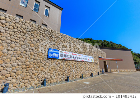 千葉縣勝浦市千葉縣立中央博物館別館海博物館 千葉縣勝浦市千葉縣立中央博物館別館海博物館 101493412