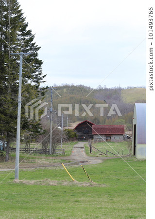 北海道Ku路的一個農場風景 101493766
