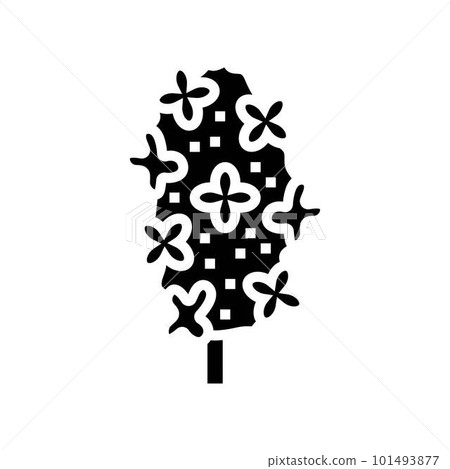 lilac flower spring glyph icon vector illustration lilac flower spring glyph icon vector illustration 101493877