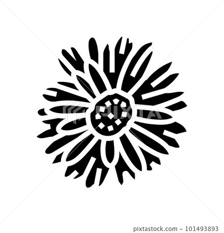 gerbera daisy blossom spring glyph icon vector illustration gerbera daisy blossom spring glyph icon vector illustration 101493893