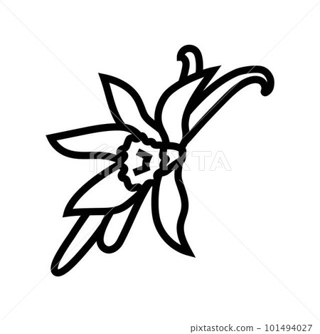 vanilla food herb line icon vector illustration vanilla food herb line icon vector illustration 101494027