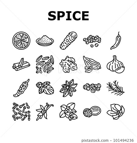 spice food herb leaf icons set vector 101494236