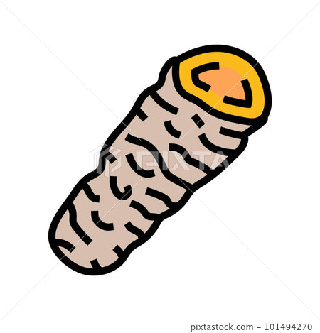 turmeric food herb color icon vector illustration 101494270