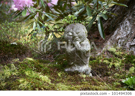 京都市左京區大原Warabe Jizo春天的三千院 101494306