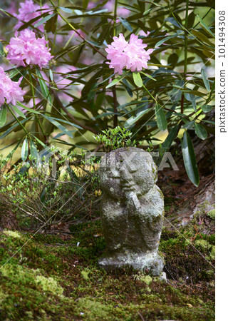 Sanzenin Temple in Spring, Warabe Jizo, Ohara, Sakyo Ward, Kyoto City Sanzenin Temple in Spring, Warabe Jizo, Ohara, Sakyo Ward, Kyoto City 101494308
