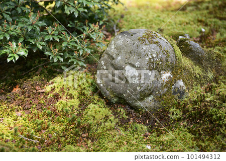 京都市左京區大原Warabe Jizo春天的三千院 京都市左京區大原Warabe Jizo春天的三千院 101494312