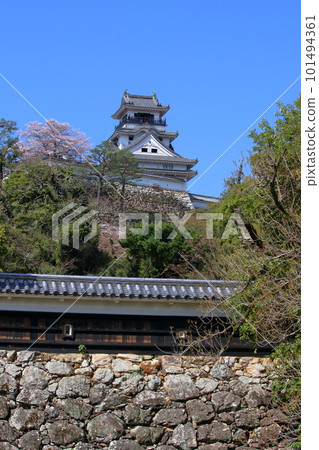 Kochi Castle Nozura Sumi no Ishigaki (Kochi City, Kochi Prefecture) 101494361