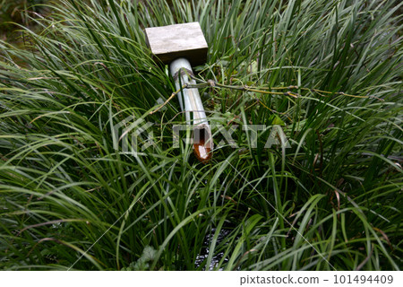 京都府左京區大原春天三千院 101494409