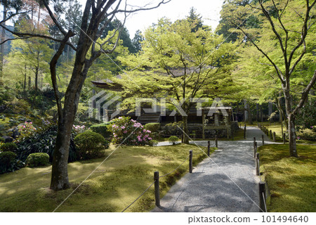 京都市左京區大原春天三千院和大城極樂院 101494640