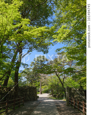 Fresh green Okazaki Castle drum gate ruins (Ishigaki) Fresh green Okazaki Castle drum gate ruins (Ishigaki) 101494745