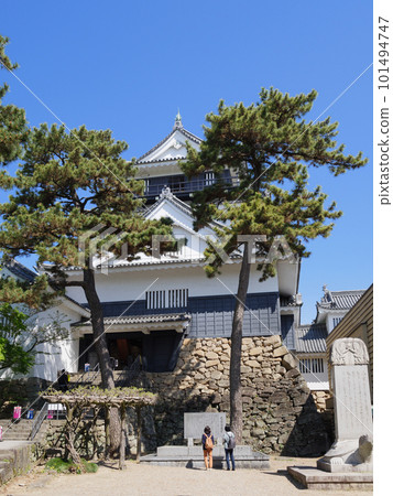 岡崎城守和松樹 岡崎城守和松樹 101494747
