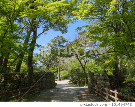 新綠岡崎城鼓門遺址(石垣島) 新綠岡崎城鼓門遺址(石垣島) 101494748