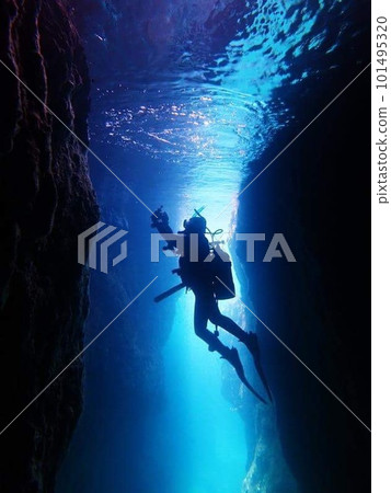 Diver swim in the sea Diver swim in the sea 101495320