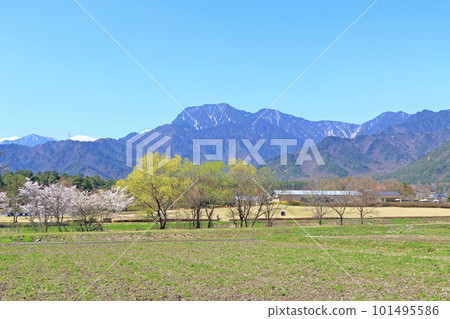 Azumino Spring in Azumino Chihiro Park 101495586