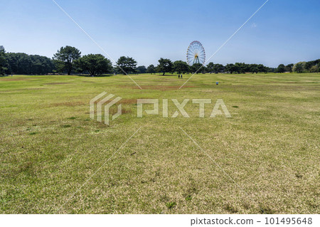 Spring National Hitachi Seaside Park Park Square Prairie Hitachinaka City, Ibaraki Prefecture 101495648