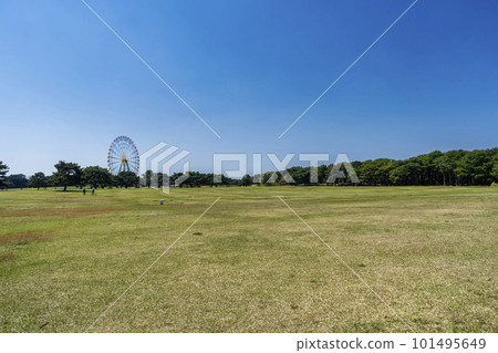 Spring National Hitachi Seaside Park Park Square Prairie Hitachinaka City, Ibaraki Prefecture 101495649