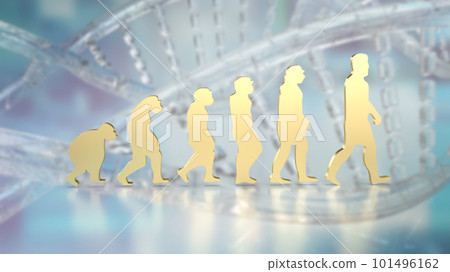 The human evolution image for education or sci concept 3d rendering The human evolution image for education or sci concept 3d rendering 101496162