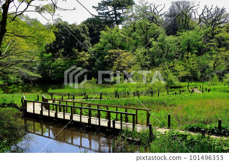 Institute for Nature Study attached to the National Science Museum 101496353