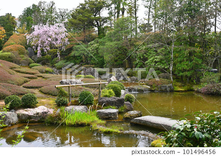 Kyoto City Taizo-in Japanese garden Yukoen walking in April Kyoto City Taizo-in Japanese garden Yukoen walking in April 101496456