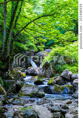 Shirakigami Valley of the fresh green Shirakigami Valley of the fresh green 101496939