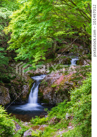 Shirakigami Valley of the fresh green Shirakigami Valley of the fresh green 101497012