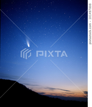 在黎明前的天空中看到的海爾波普彗星 101497808