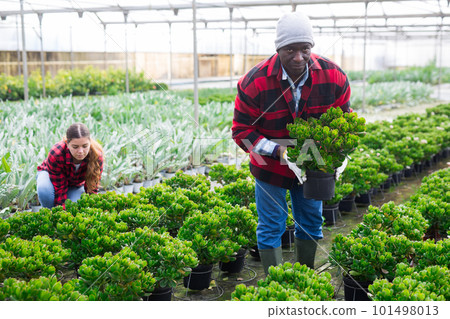 flowers, male, man 101498013
