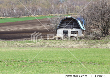 北海道鄂霍次克地區有牧場的老牛棚 101498380
