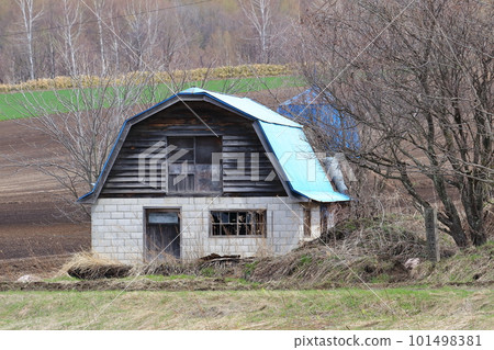 北海道鄂霍次克地區有牧場的老牛棚 101498381