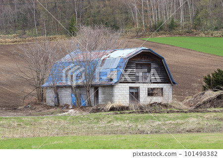 北海道鄂霍次克地區有牧場的老牛棚 101498382