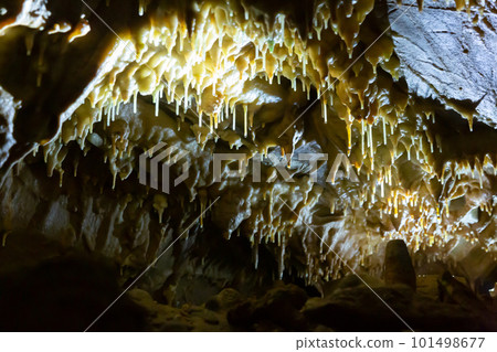 Rock formations in Balcarka cave, Czech Republic 101498677